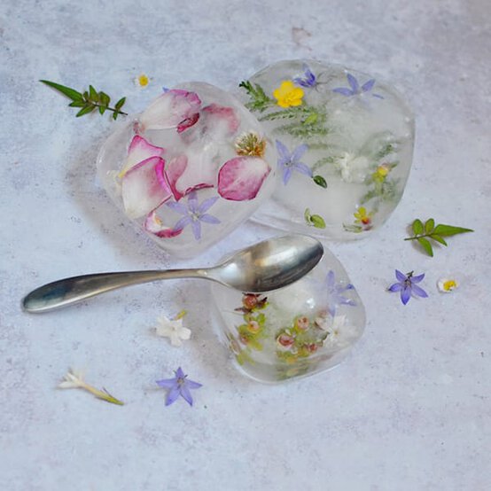 How to Make Botanical Ice Blocks image number 1