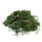 Green Moss 40g image number 2