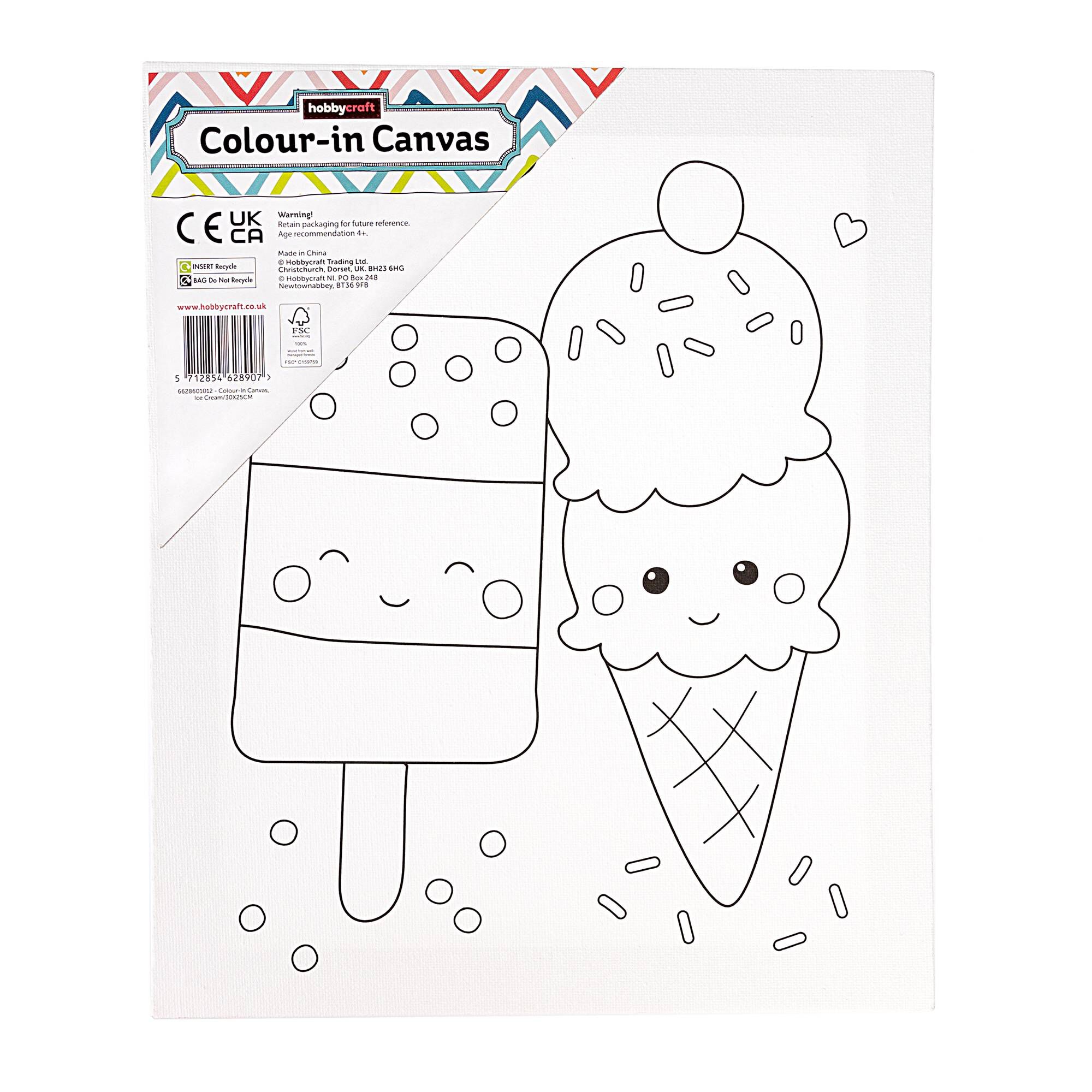 Ice Cream Colour-in Canvas | Hobbycraft