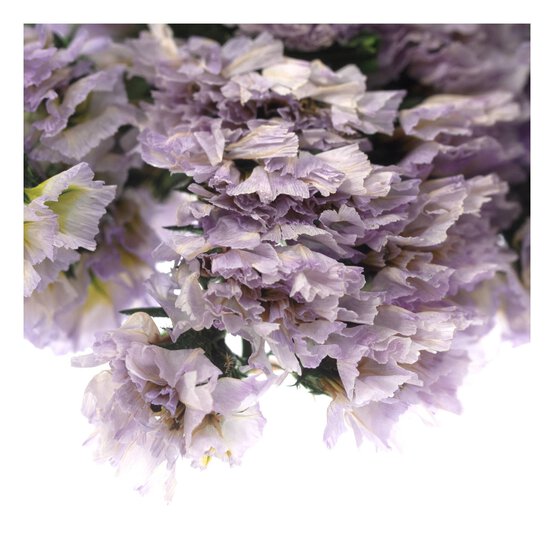 Purple Forget-Me-Not Dried Floral Pick 13cm  image number 3