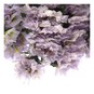 Purple Forget-Me-Not Dried Floral Pick 13cm  image number 3