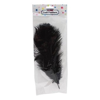 Black Ostrich Feather 30cm