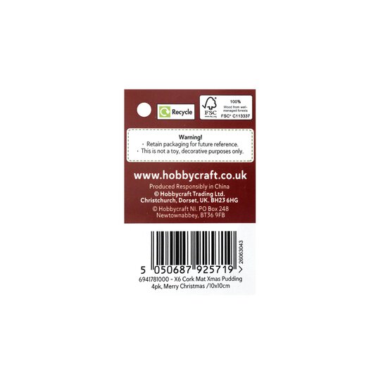Christmas Pudding Cork Coaster Mats 4 Pack  image number 4