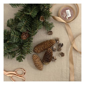 Large Pinecones 200g