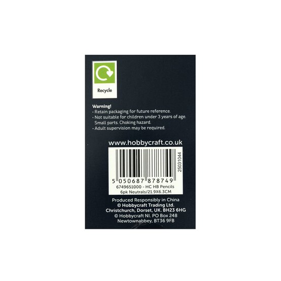 Neutral HB Pencils 6 Pack image number 5