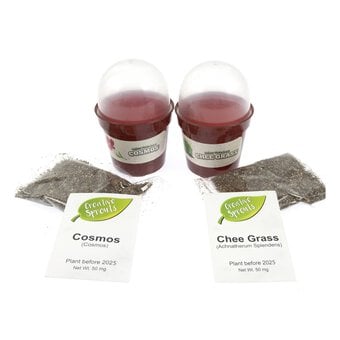 Creative Sprouts Grow Your Own Micro Gardens 2 Pack