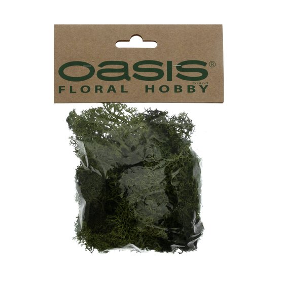 Oasis Dark Green Reindeer Moss 50g  image number 3