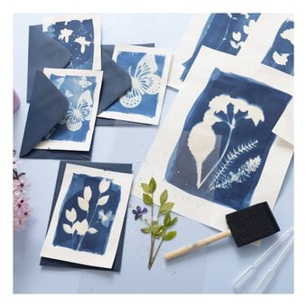 Cyanotype Craft Kit