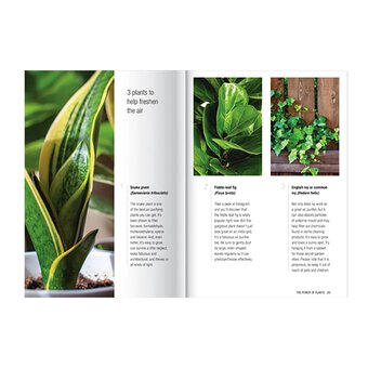 The Power of Plants Set