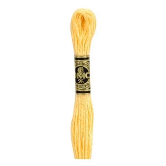 DMC Yellow Mouline Special 25 Cotton Thread 8m (019)
