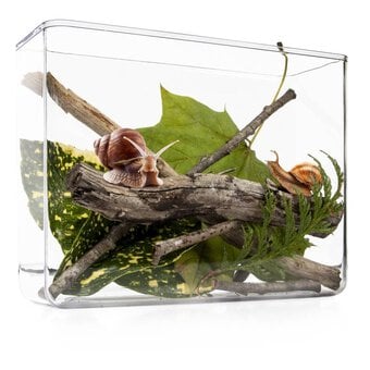 My Living World Snail Kit