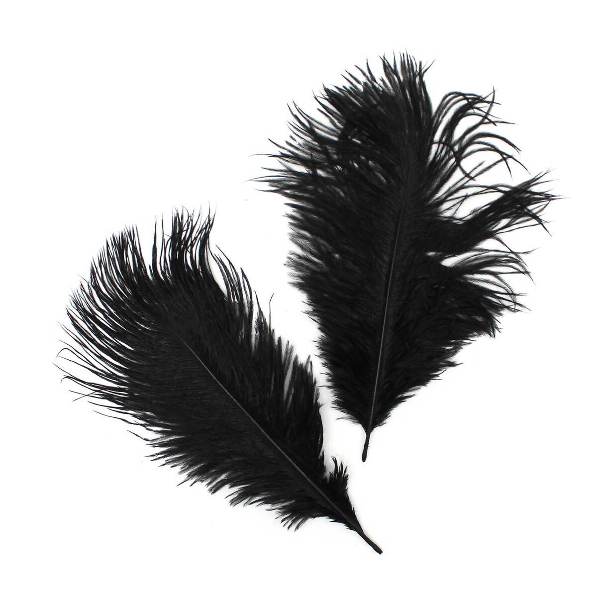 Black Ostrich Feathers 2 Pack | Hobbycraft