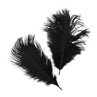 Black Ostrich Feathers 2 Pack