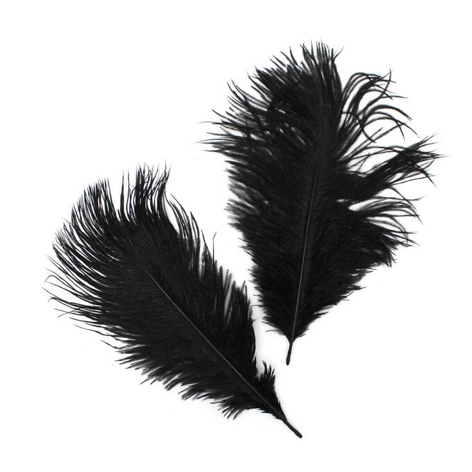 Black Ostrich Feathers 2 Pack image number 1