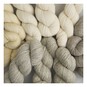 Bramble & Fleece Origin No. 001 Sock Yarn 100g image number 3