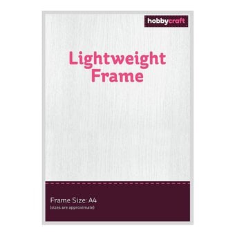 Silver Lightweight Frame A4