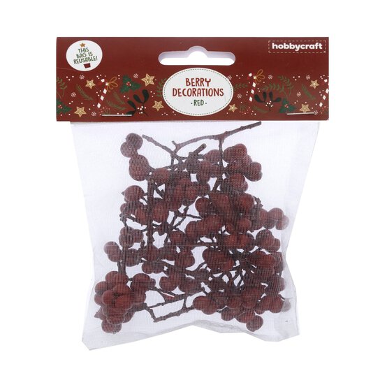 Red Berries 30g  image number 4
