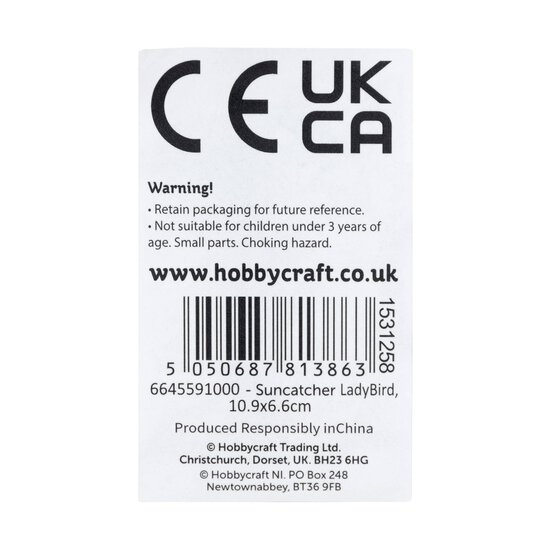 Ladybird Plastic Suncatcher image number 7