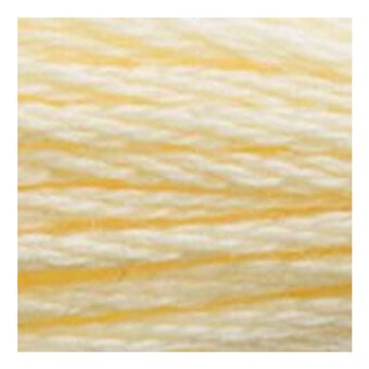 DMC Yellow Mouline Special 25 Cotton Thread 8m (3823)