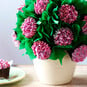 How to Make Betty Crocker Flower Bouquet Vanilla Cupcakes image number 1