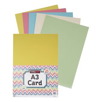 Assorted Card A3 25 Pack