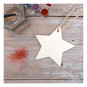 Hanging Ceramic Star Decoration 12cm  image number 2