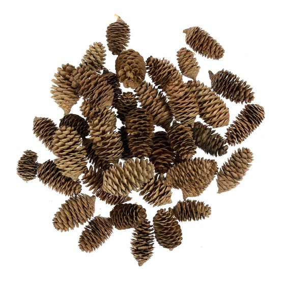 Large Pinecones 200g image number 4