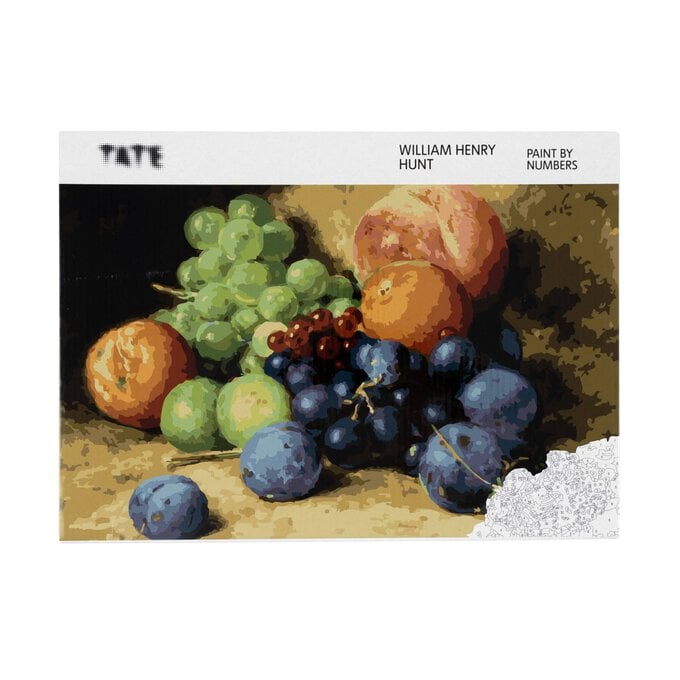 Tate Fruit Paint by Numbers image number 1