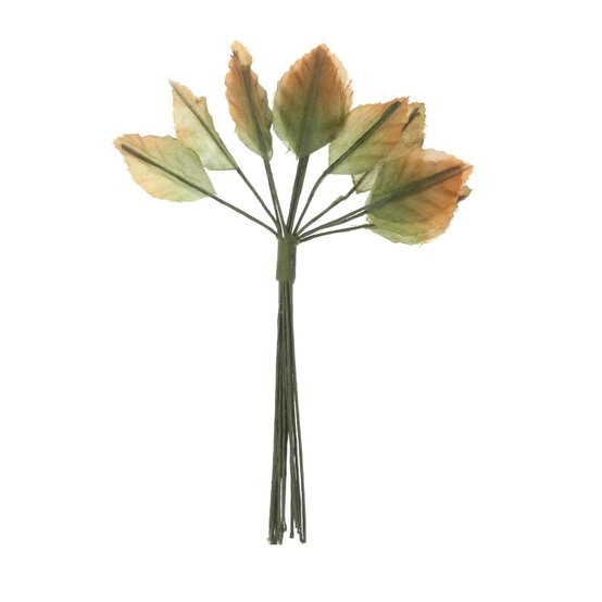 Mini Green and Orange Rose Leaves 12 Pack  image number 1