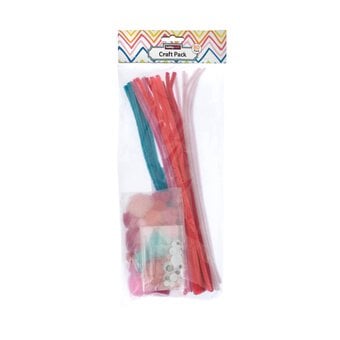 Pink and Teal Pipe Cleaners and Poms Craft Pack 80 Pieces image number 4