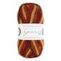 West Yorkshire Spinners Autumn Leaves Signature 4 Ply 100g image number 1