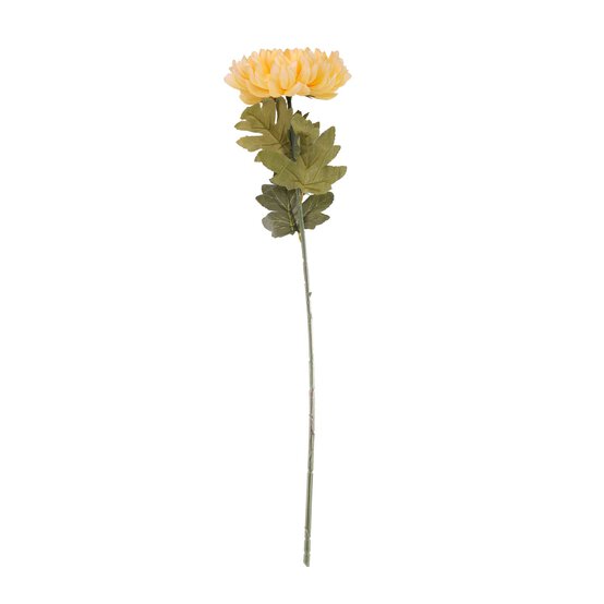 Yellow Chrysanthemum 78cm x 20cm image number 1