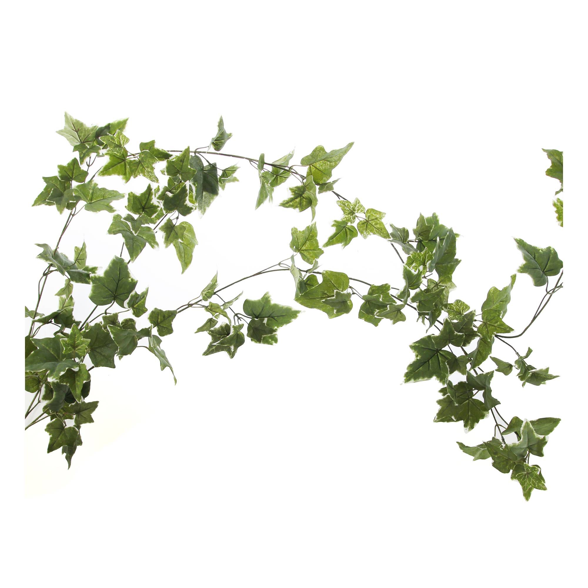 Ivy Garland 1.8m Hobbycraft