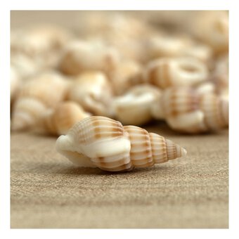 Mixed Bag of Natural Shells 250g 
