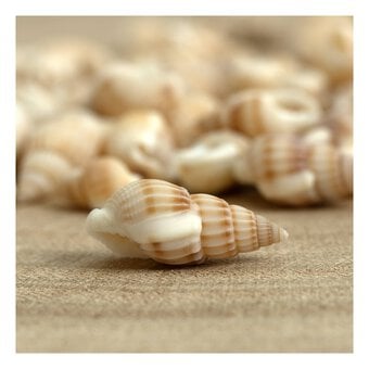 Mixed Bag of Natural Shells 250g  image number 2