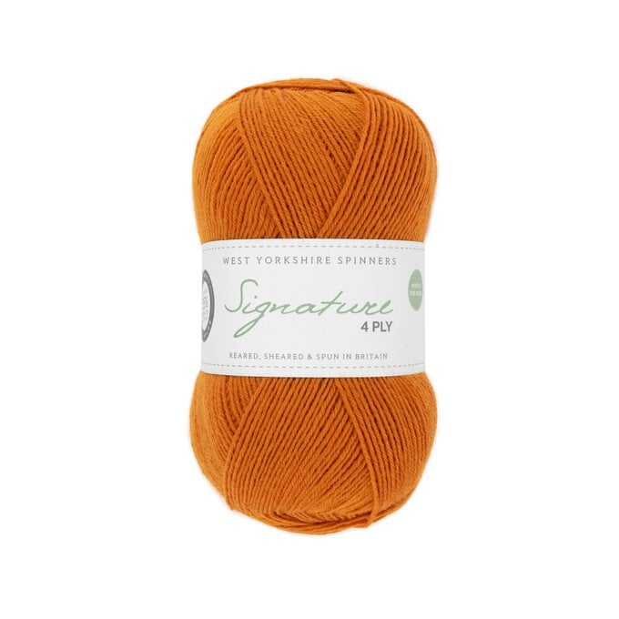 West Yorkshire Spinners Amber Signature 4 Ply 100g image number 1