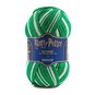Sirdar Harry Potter Slytherin Self-Striping Scarf Yarn 300g image number 1