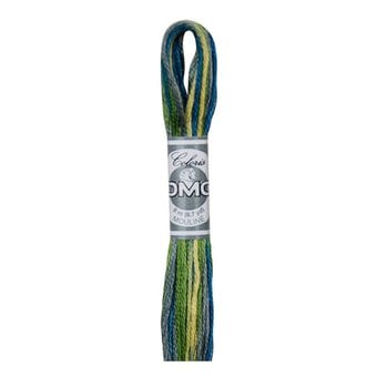 DMC Green and Yellow Coloris Mouline Cotton Thread 8m (4506)