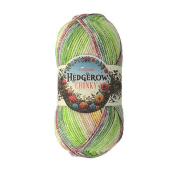King Cole Dewdrop Hedgerow Chunky 200g 