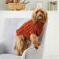 How to Knit an Autumn Dog Coat image number 1