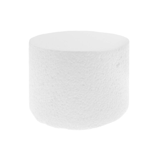 Round Cake Dummy 6 x 4 Inches  image number 1