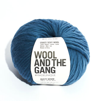 Wool and the Gang Dusty Denim Crazy Sexy Wool 200g 