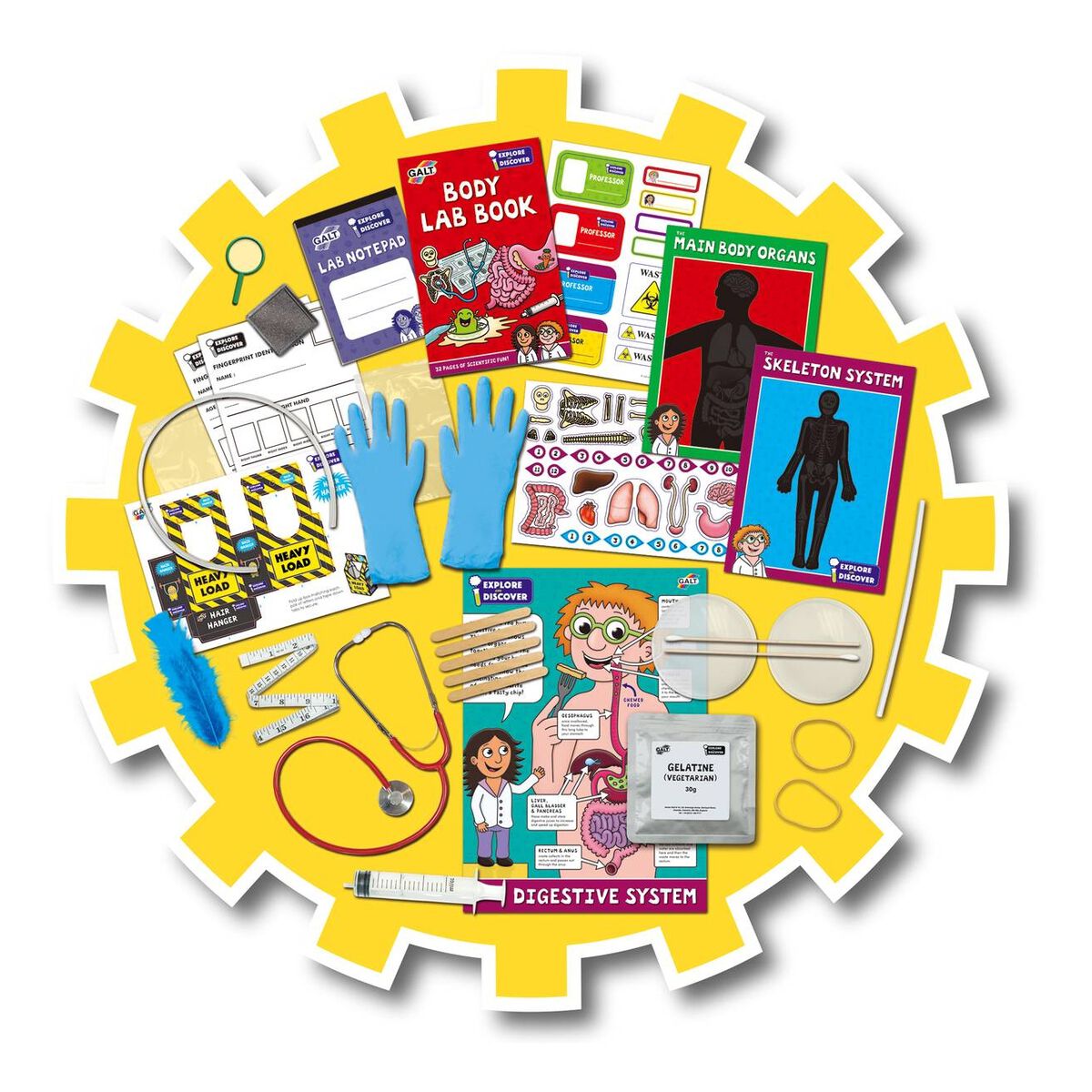 Galt Body Lab Hobbycraft