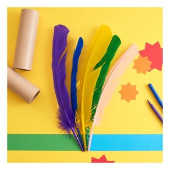 American Feathers 15 Pack