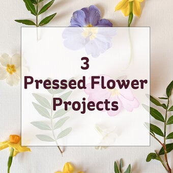 3 Pressed Flower Projects