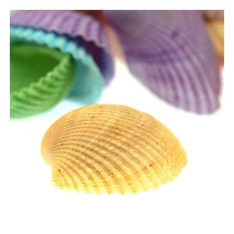 Mixed Bag of Pastel Shells 250g image number 3
