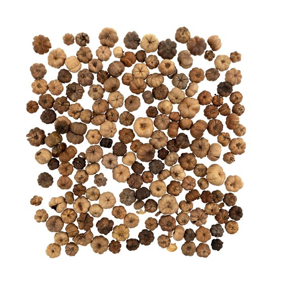 Putka Pods 40g  image number 3