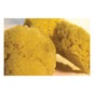Frisk Natural Paint Sponges 5 Pack image number 2