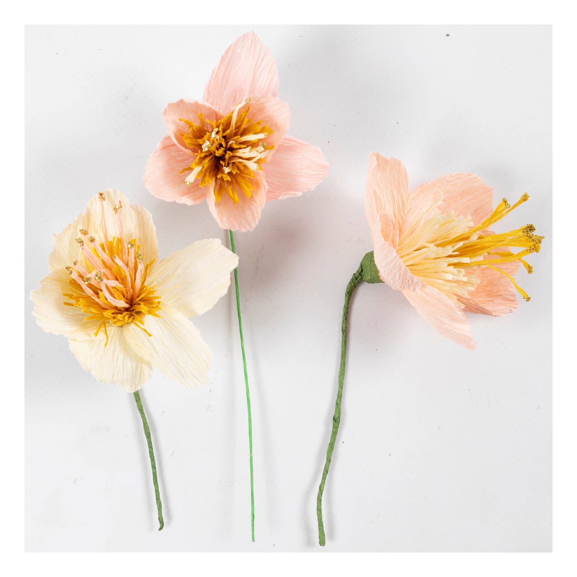 Crepe Paper Wreath Kit Hobbycraft