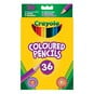 Crayola Coloured Pencils 36 Pack image number 1